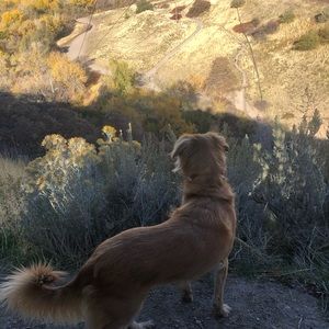 Meet your Posher, Dylan